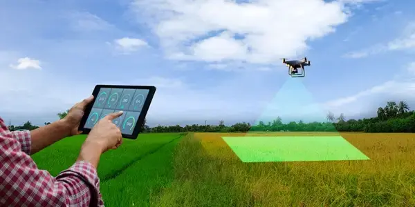 Drones and Satellites